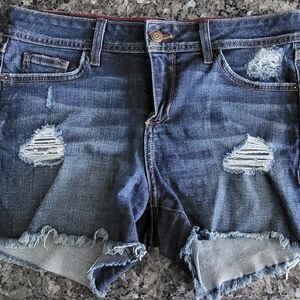 Fran Denim 29 Distressed Denim Shorts